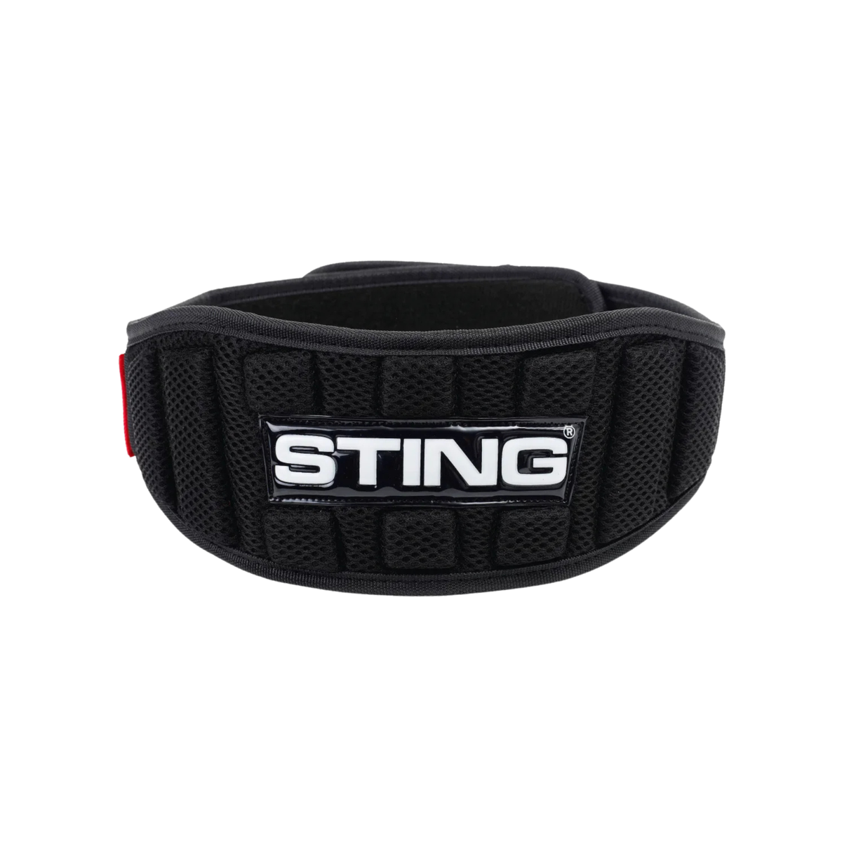 Black 4-inch neoprene lifting belt with stainless steel roller buckle and padded back support.