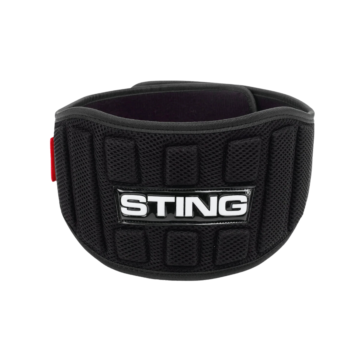 Black 6-inch neoprene lifting belt with stainless steel roller buckle and padded back support.