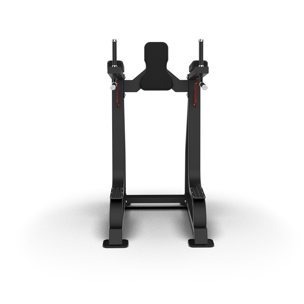 QLI QLRD065 leg raise and dip station from the rear, showing the steel frame