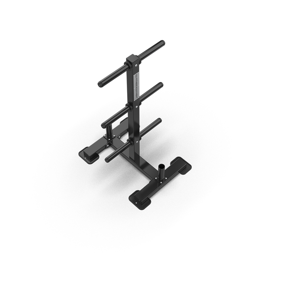QLI QWT400 weight tree from above, showing the pegs and the barbell holders at the base