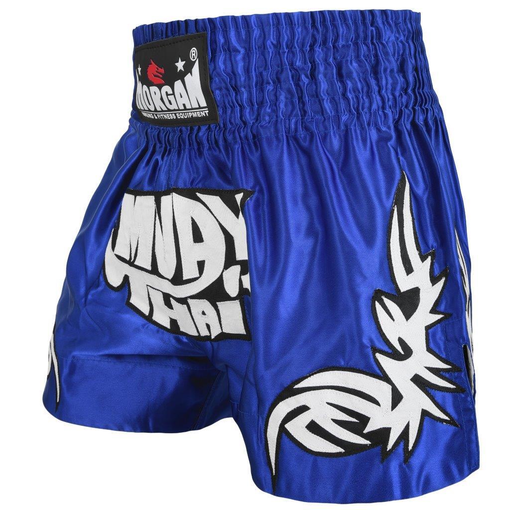 Morgan Aztec Warrior Muay Thai shorts, blue with white graphics, alternate view 2
