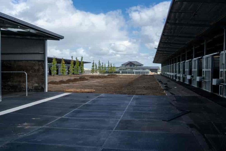 Shock-Absorbing Livestock Rubber Mats for Horses and Cattle Fitness Hero