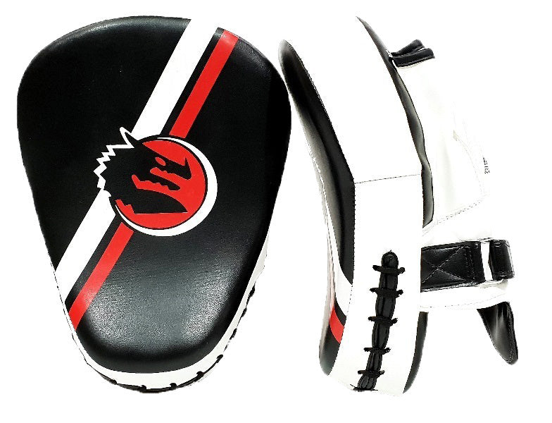 Morgan V2 Classic Focus Pads - Fitness Hero Brand new