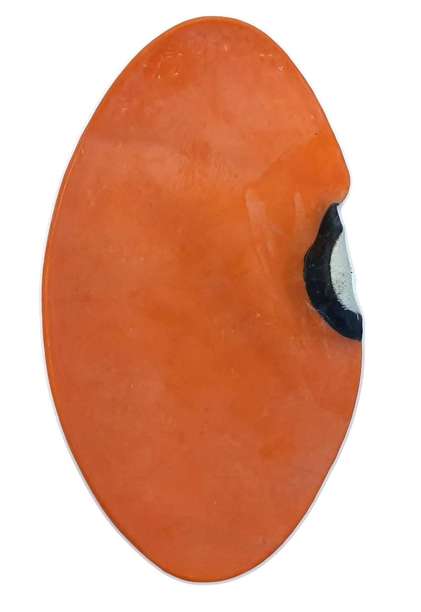 Morgan Floor To Ceiling Ball Bladder (Spare Part) - Fitness Hero Brand new