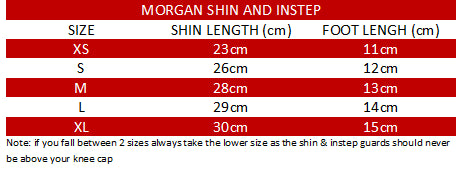 Morgan Shin Protectors - Fitness Hero Brand new