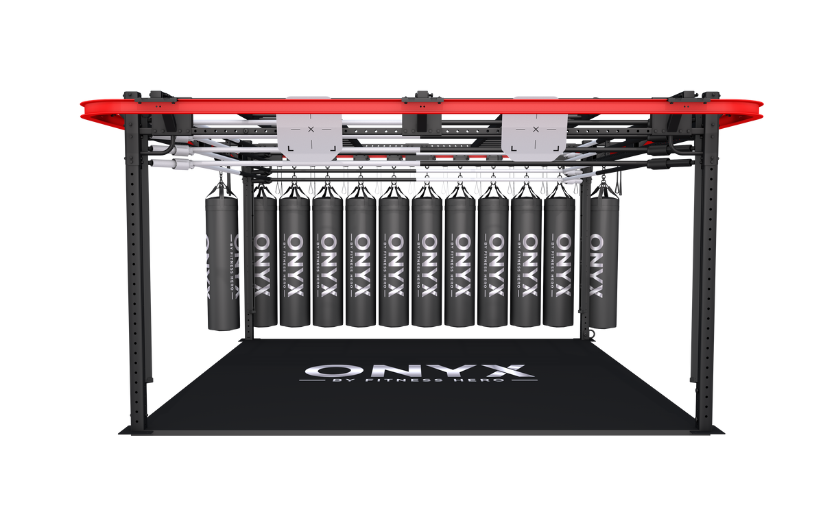 Onyx Liftable Boxing Ring | Matrix Style Combat Rig