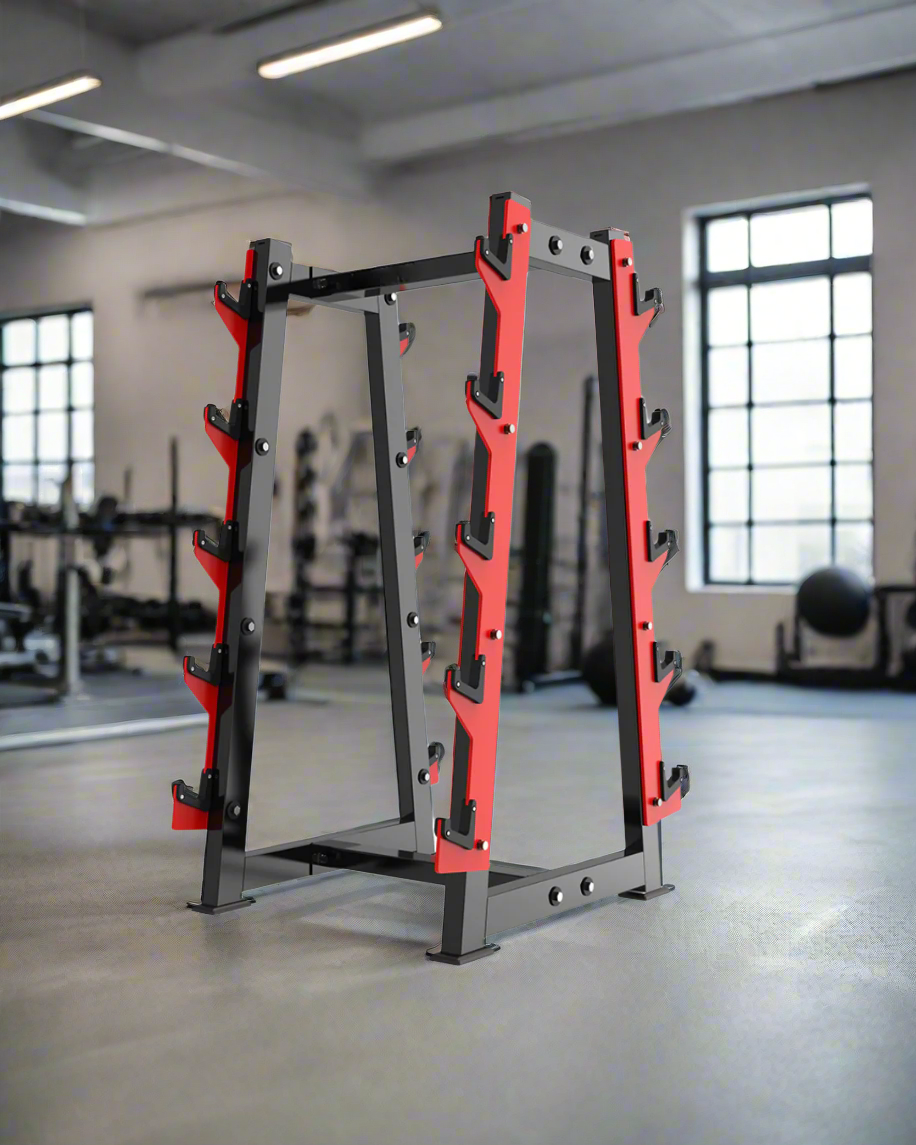 Barbell Rack - Holds 10 Barbells [Raptor Series] In gym setting