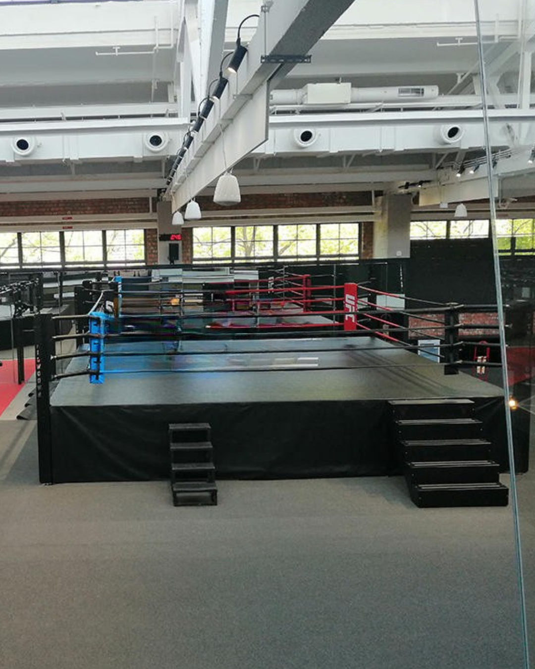 Competition-standard boxing ring setup in training facility

