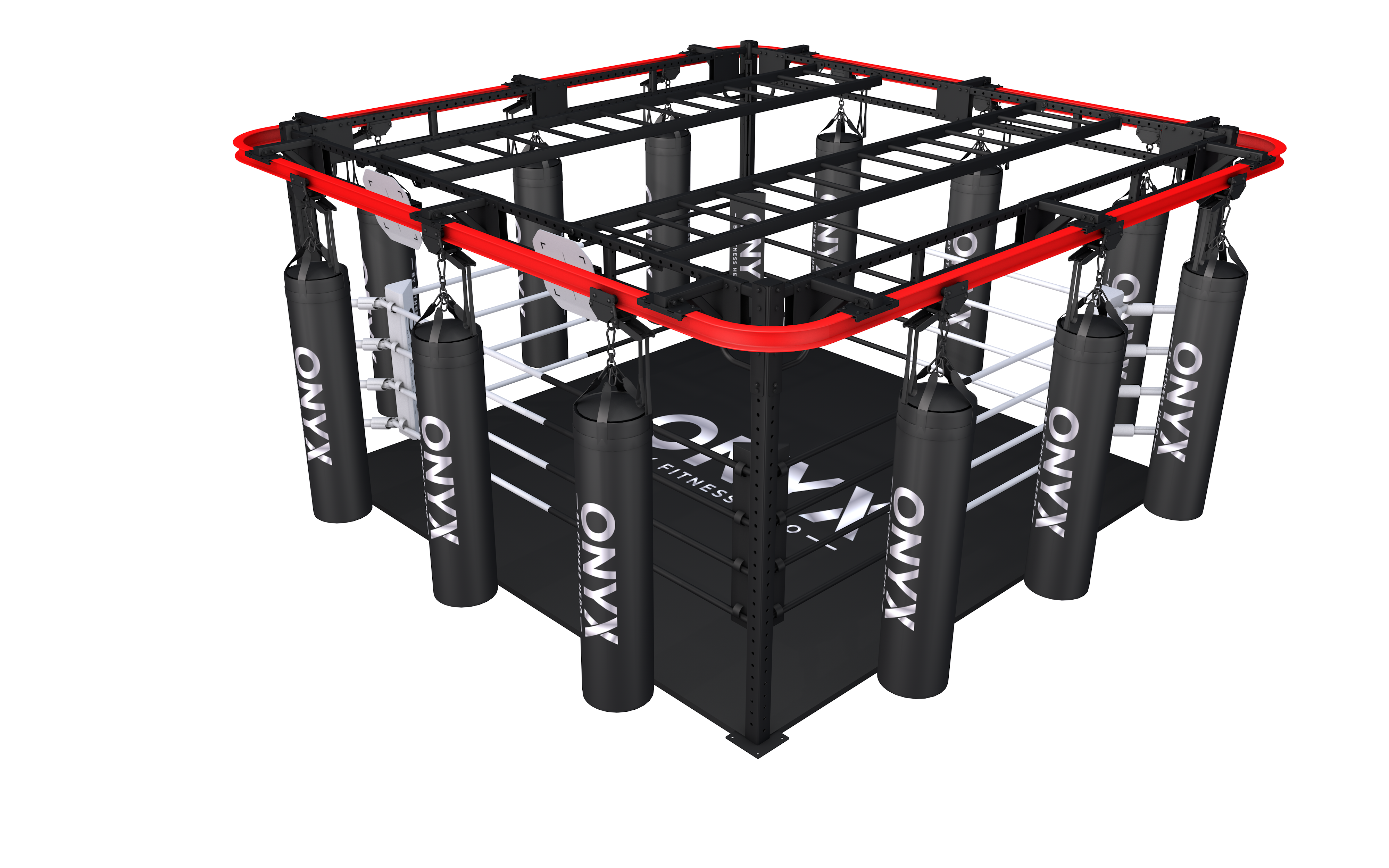 Delta Rig Boxing Liftable Boxing Ring | Matrix-Style Functional Combat Rig