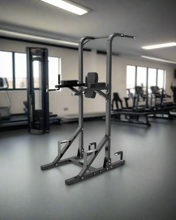 Raptor Series Chin-Up & Dip Station – Power Tower Bodyweight Trainer