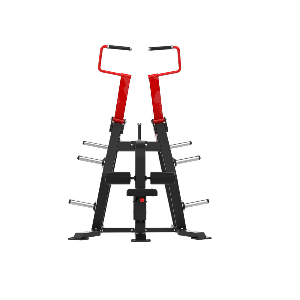 QLI QLP01 lat pulldown from the front, showing both pulldown arms and the plate storage horns
