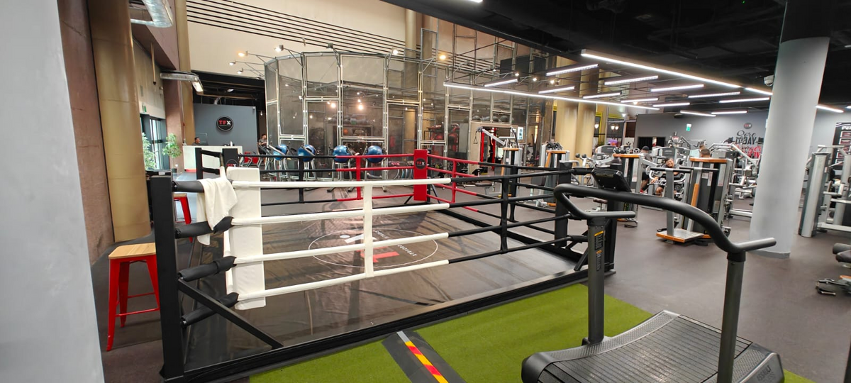 Onyx Custom Boxing Ring - All Sizes Available