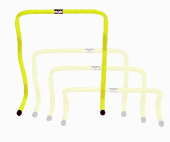 large 18 inch agility hurdle morgan brand 