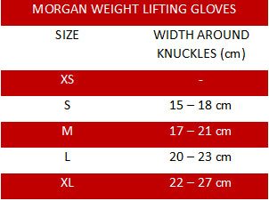 Morgan &#39;Shark&#39; Weight Lifting Gloves - Fitness Hero Brand new